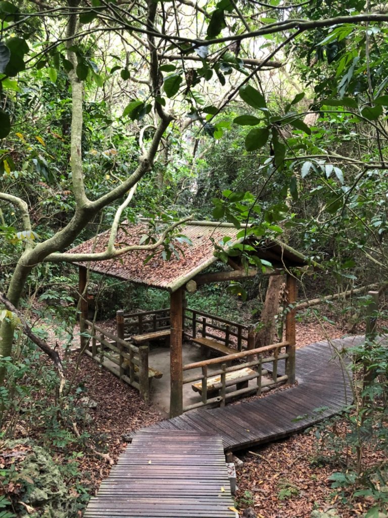 2020.04.02北柴山_900707