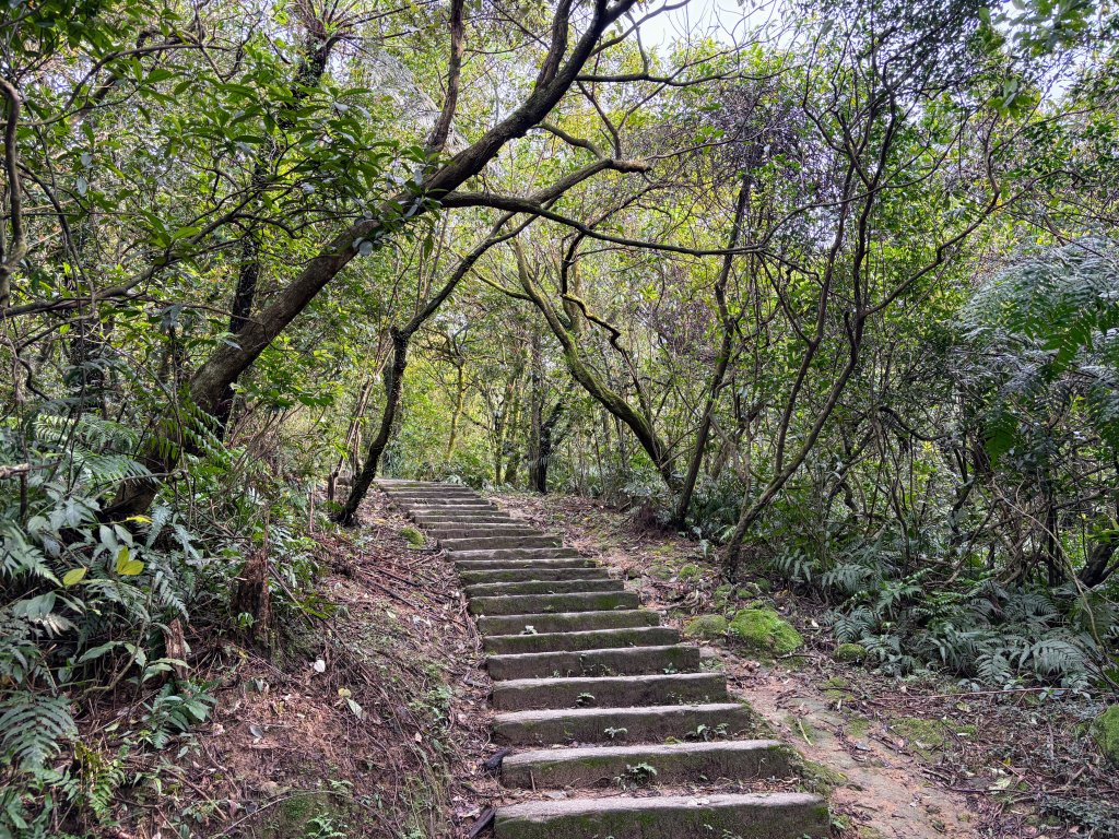 姜子寮山_2736842