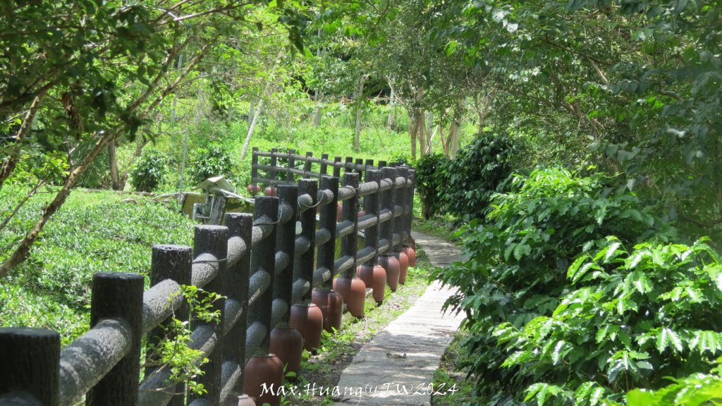 《南投》侏儸紀公園｜魚池澀水森林步道O繞20240629_2538514