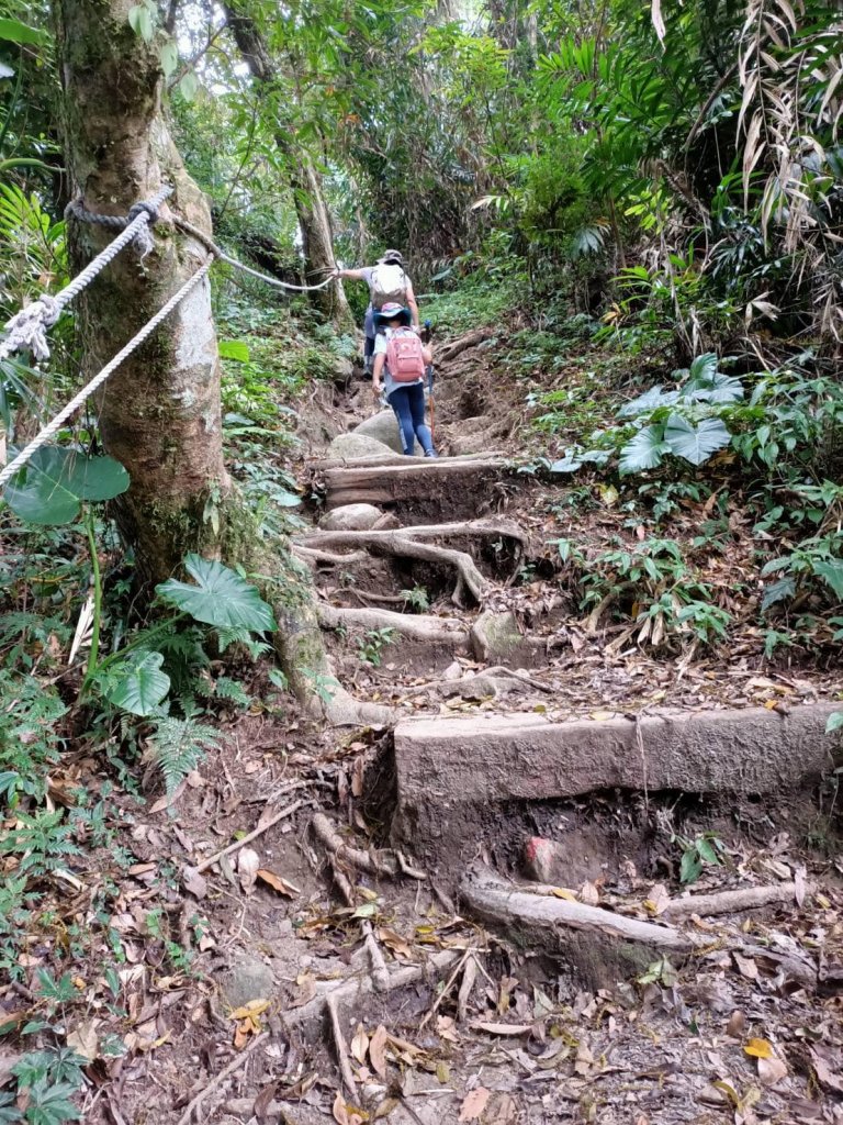 20230710小百岳都蘭山封面圖