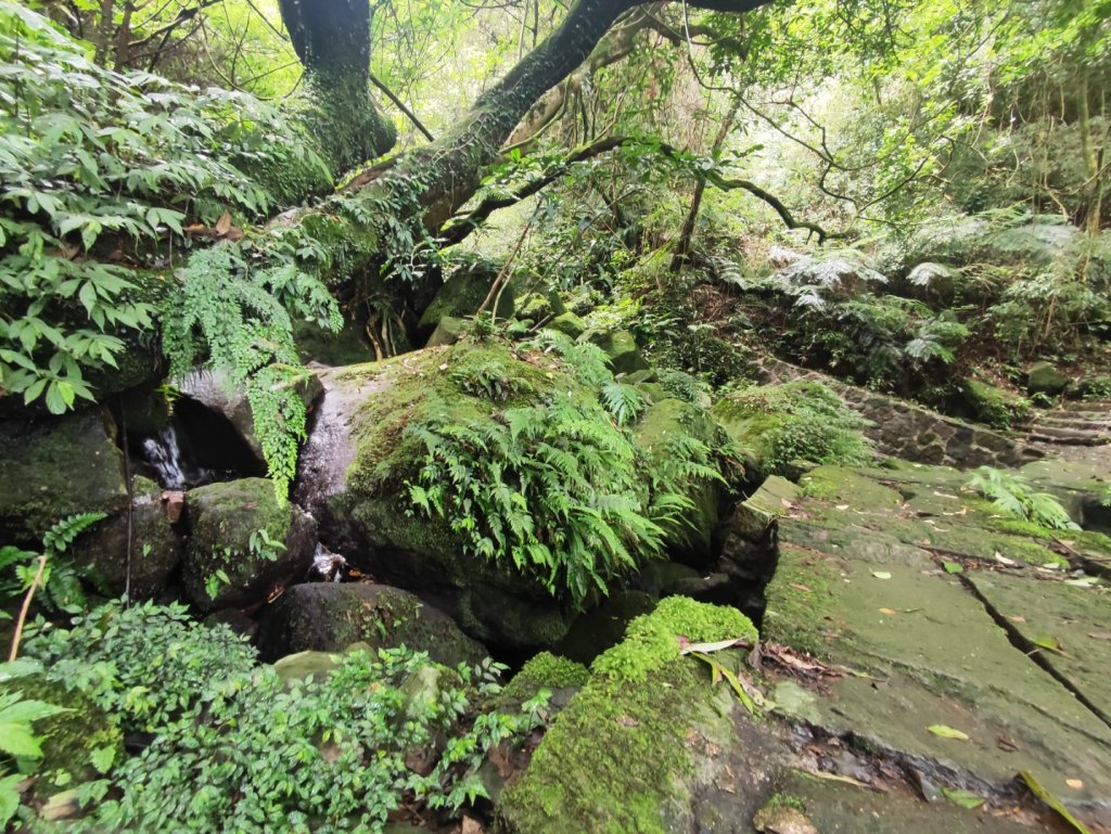 金包里大街（魚路古道北段）_2518259