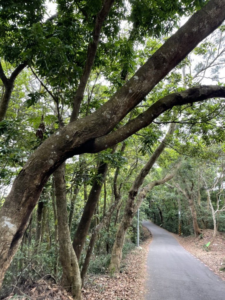 藤山步道，欣賞俗諺封面圖