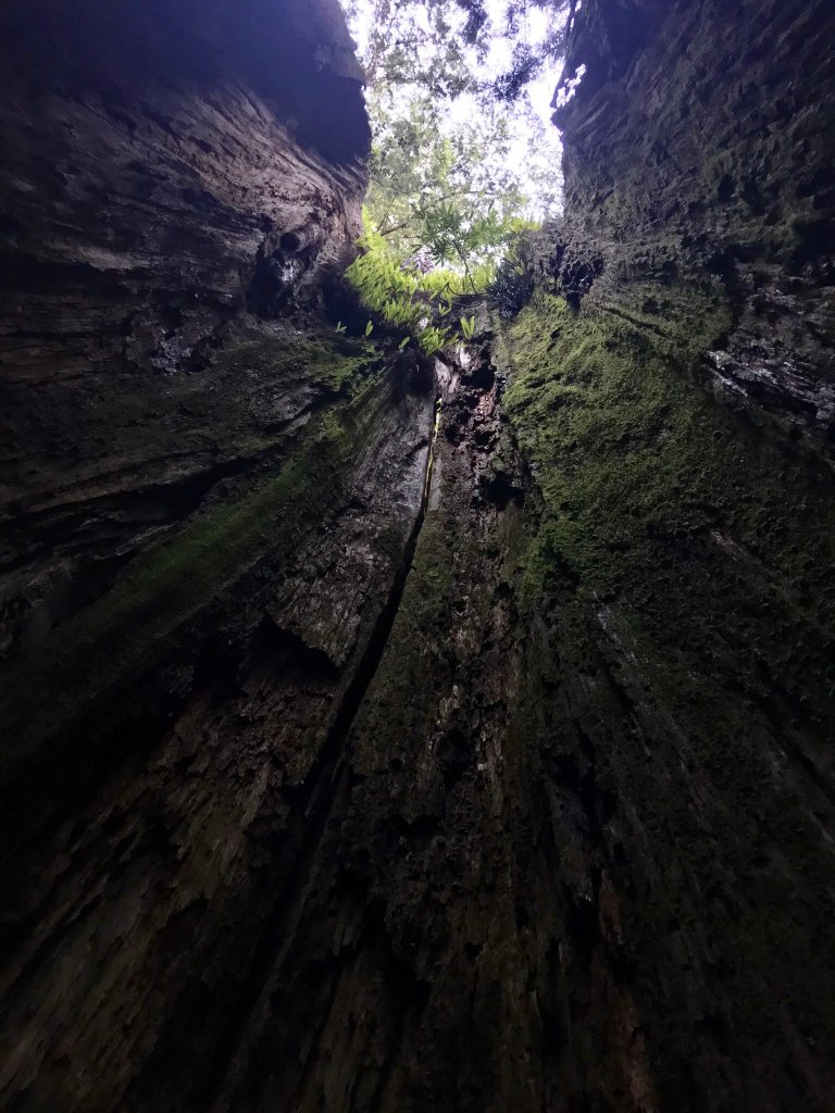水樣森林 第一次在山裡過夜_659459