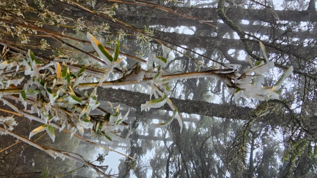 112.3.13～3.14 冰封奇萊主北_2074276