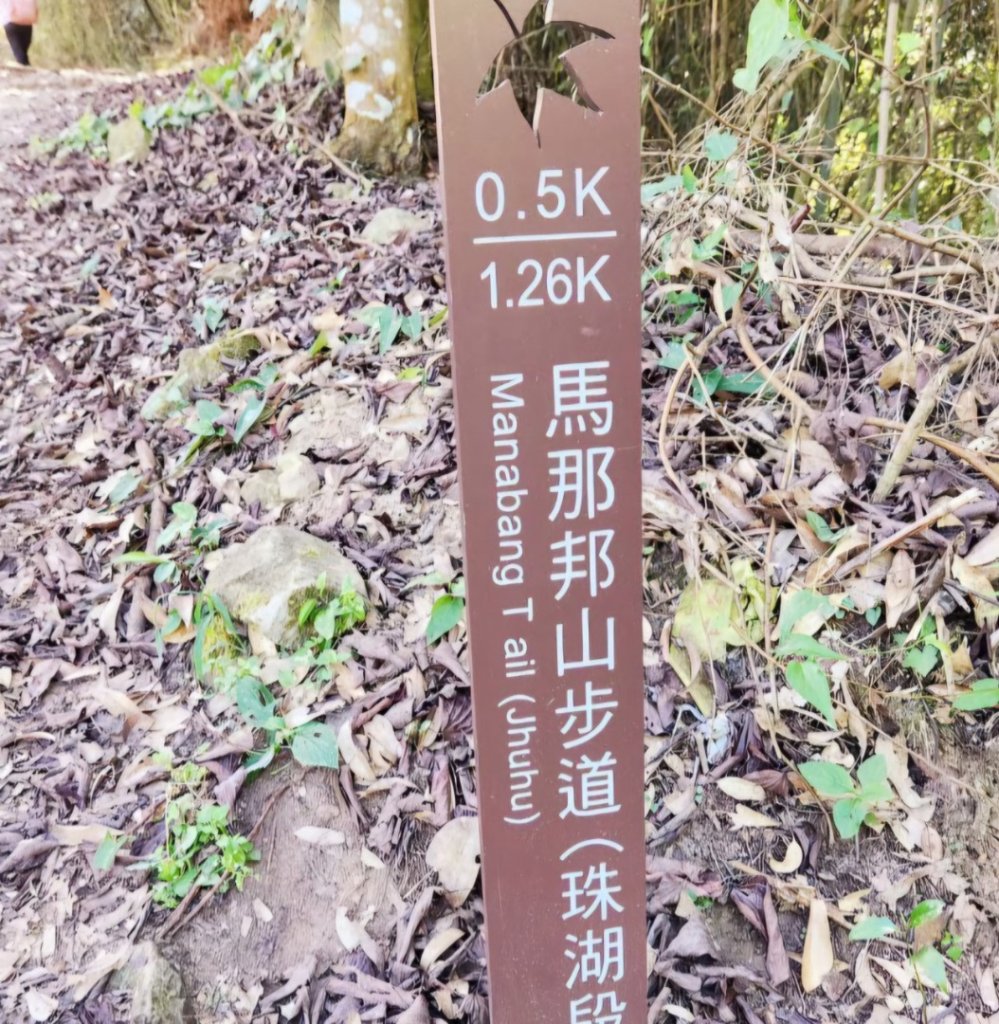 【中級山 】楓紅古戰場，馬那邦山_2741981