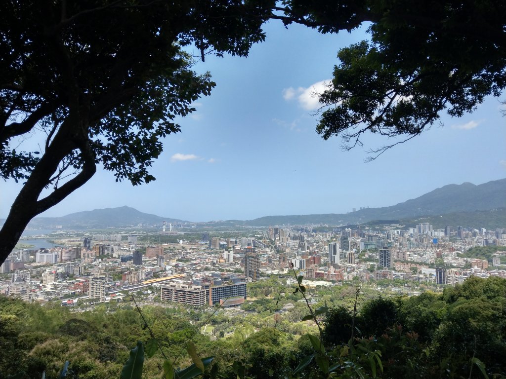 劍潭山步道_1453898