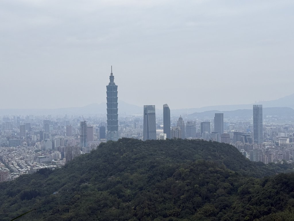 南港山.象山.四獸山-20250317_2770540
