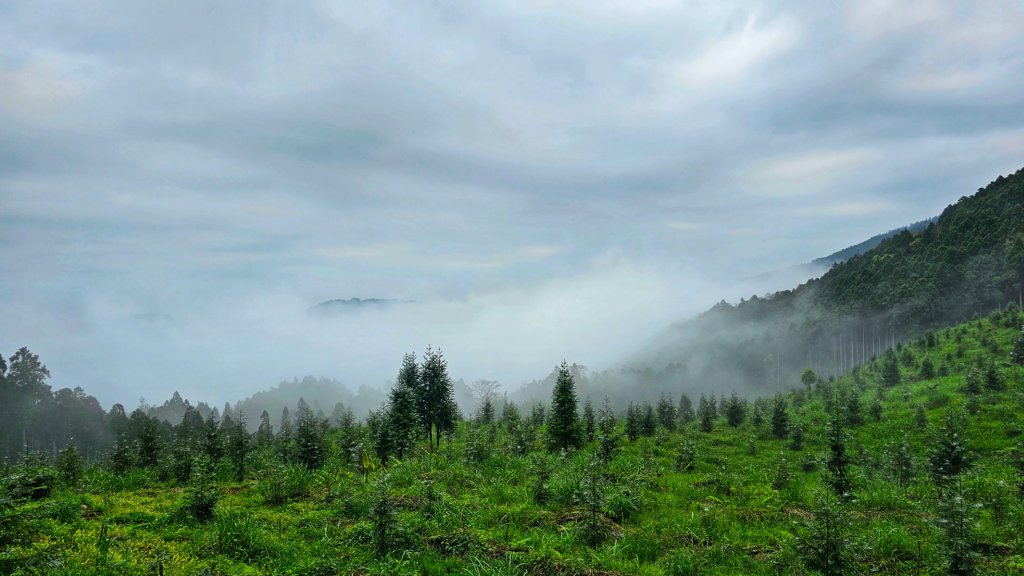 112.04.08 油羅山_2123525