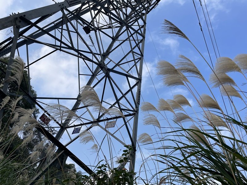 竹東三山封面圖