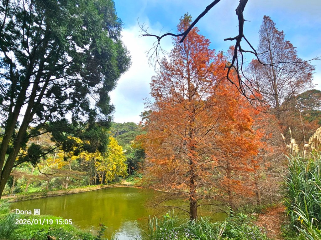20260119飛沙縱走東段加碼9連峰大O走_2988979