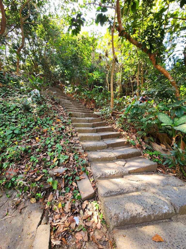 小百岳集起來-大社觀音山封面圖