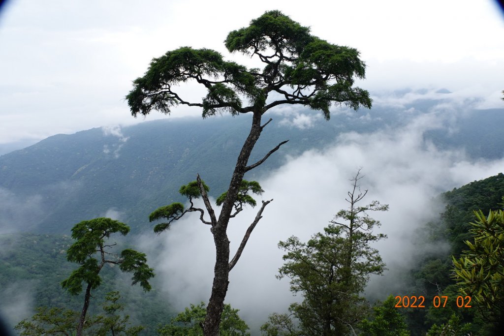 桃園 復興 夫婦山_1751623
