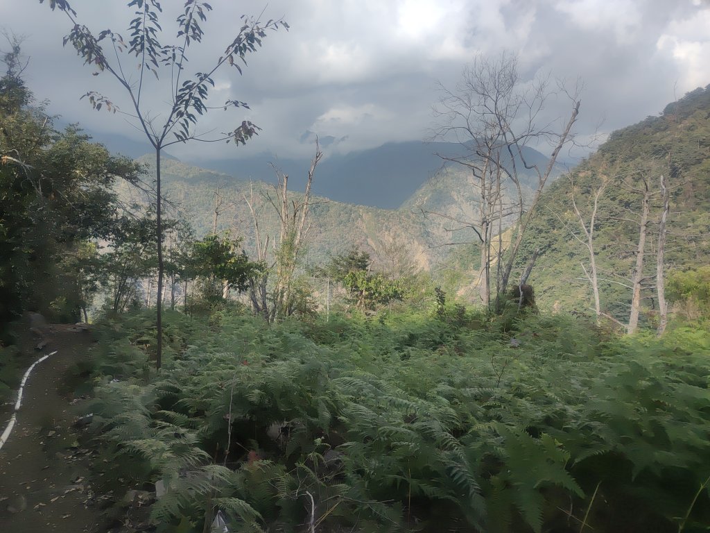 惠蓀湯公啤&小嵐_2697832