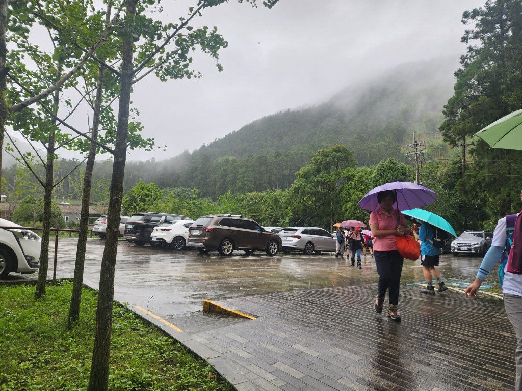 20250719頂湖上大凍山_2907126