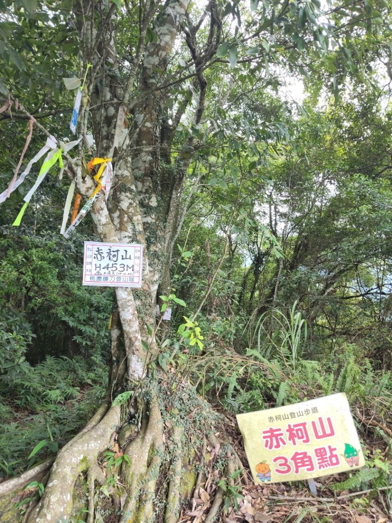 關西赤柯山、東獅頭山步道（玉山太元宮中元）封面圖