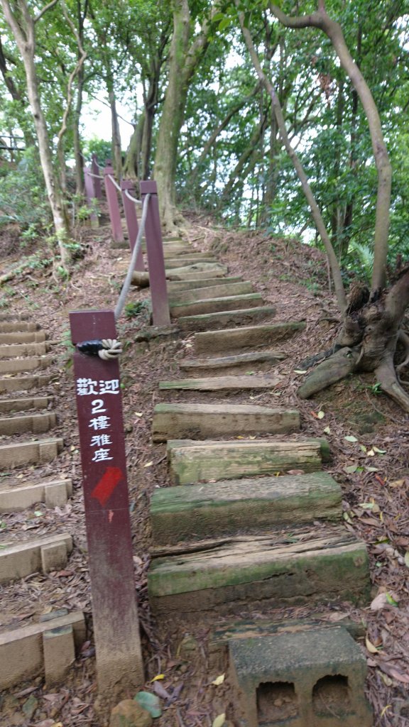 鳶山(鳶尾山+鳶山東峰+福德坑山)_433412