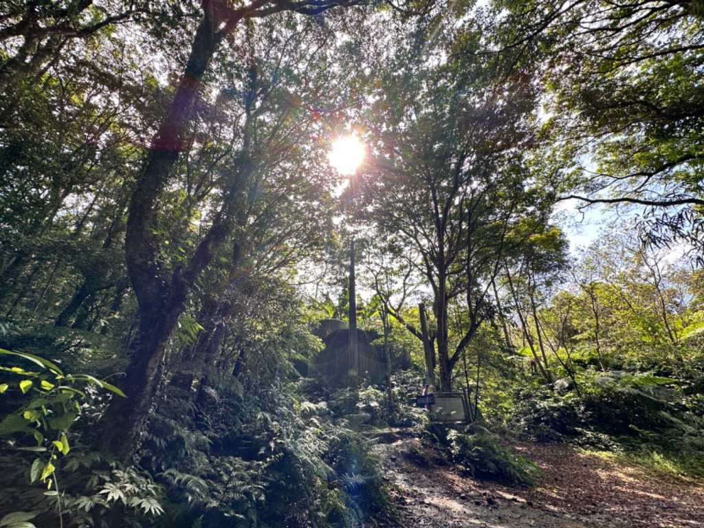 尋機之路/向沈睡於向天湖山的海狸致敬🫡_2302318