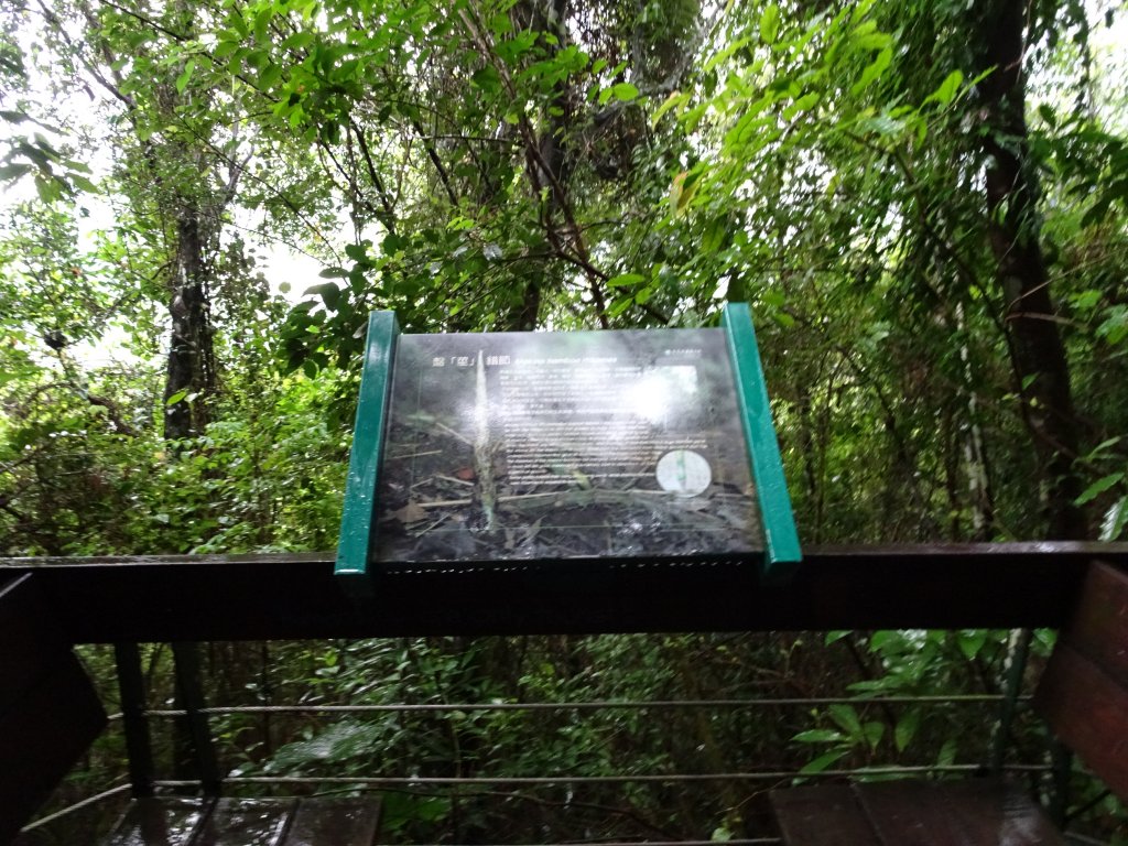 花蓮小百岳4座+美食之旅(住宿)_1274480