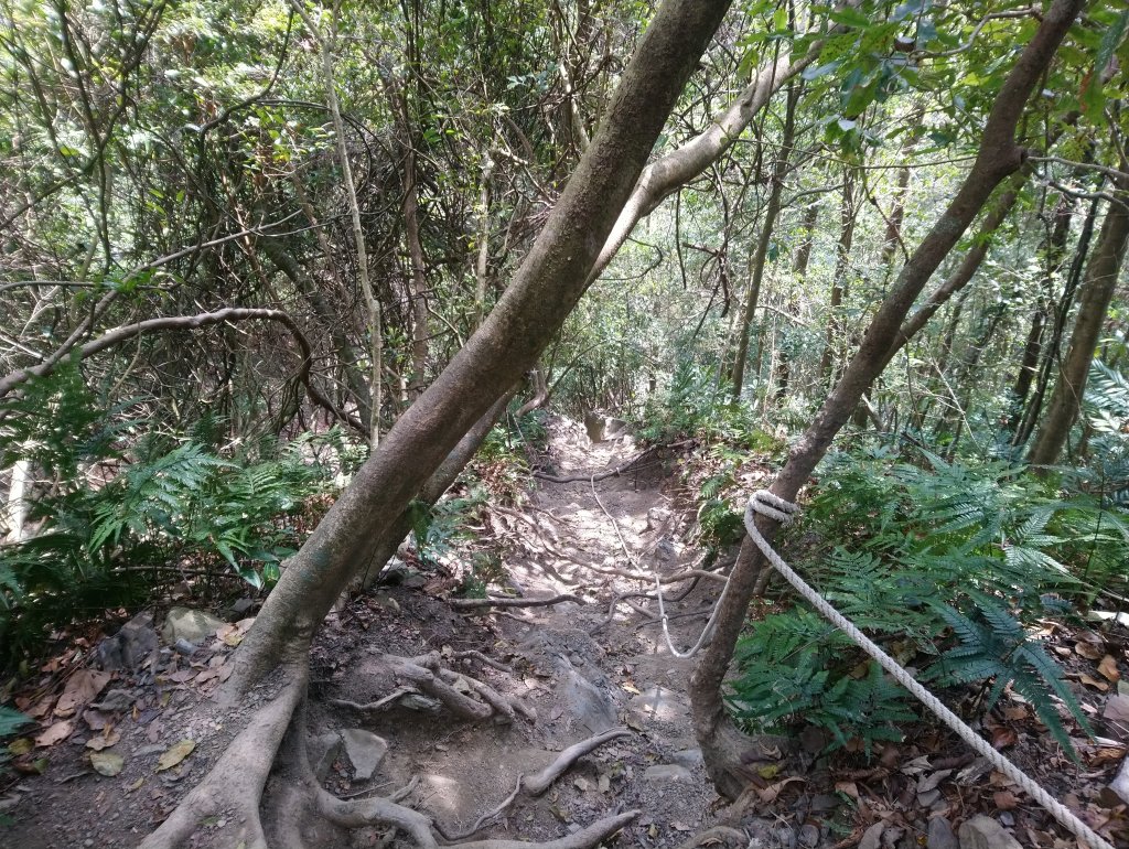 虎山 由易到難 漸進式 健身步道_855803