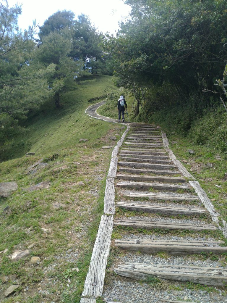 2022-07-21 塔塔加一日遊(麟趾山、鹿林山)_1771454