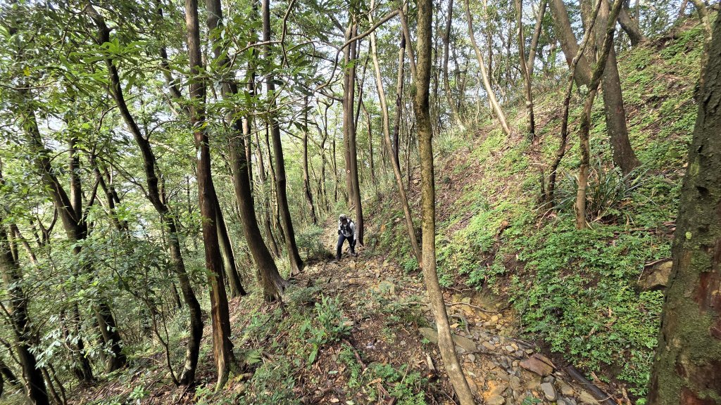 東北季風起遊走雲瀑和山毛櫸間的啦卡山與北插天山登山行_2951087