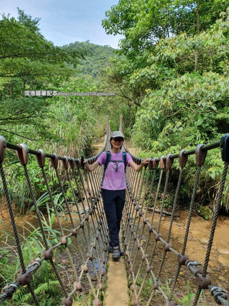 三貂嶺越嶺猴硐步道_1035694