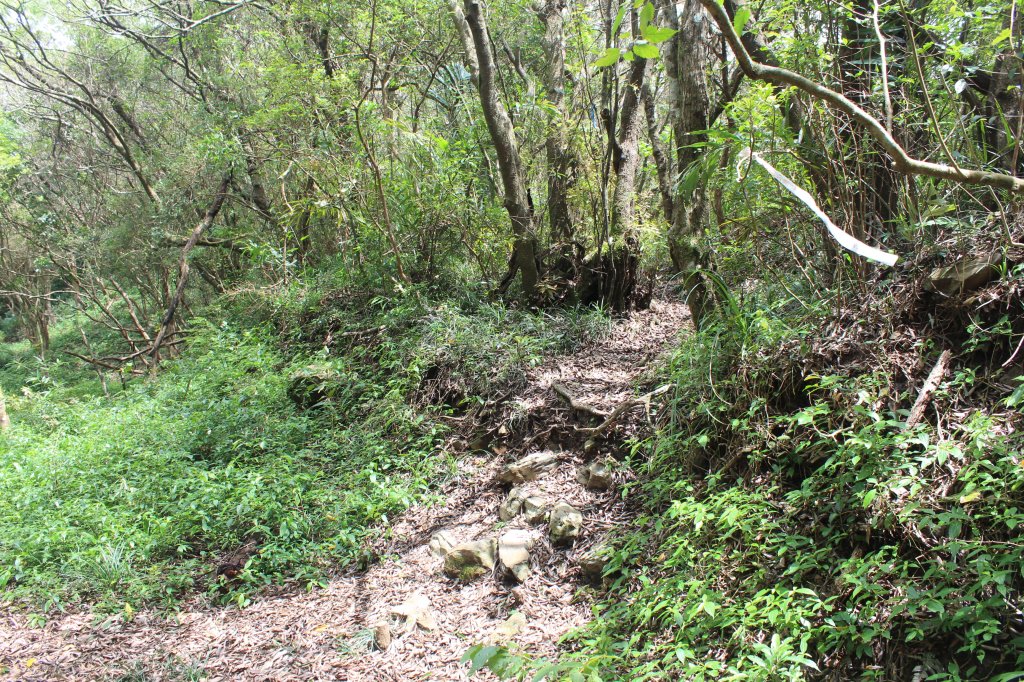 20210904屏東力里山_1453844