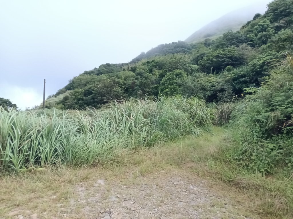 瑞芳區找尋半屏大瀑布未果_2880940