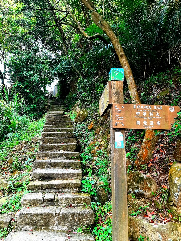 臺北大縱走4｜大湖公園捷運站至風櫃嘴_2472286