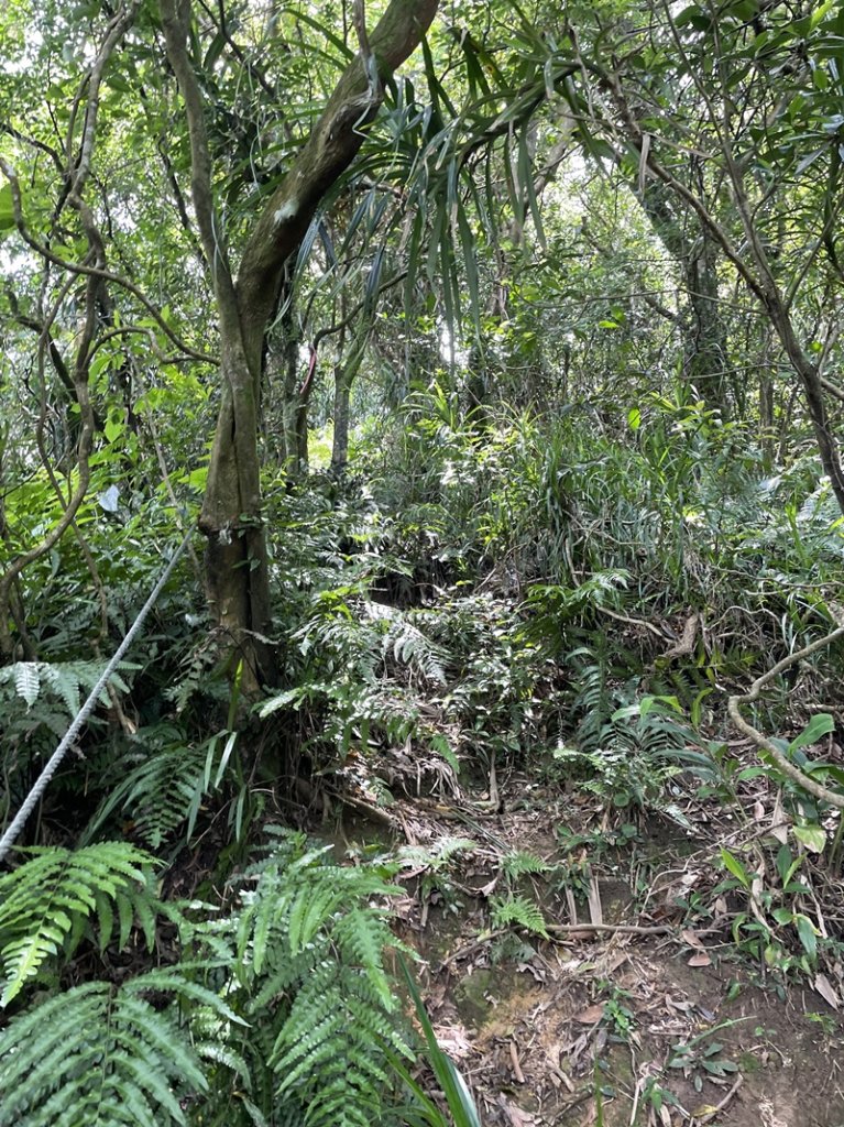 蛇子形古道_2511189