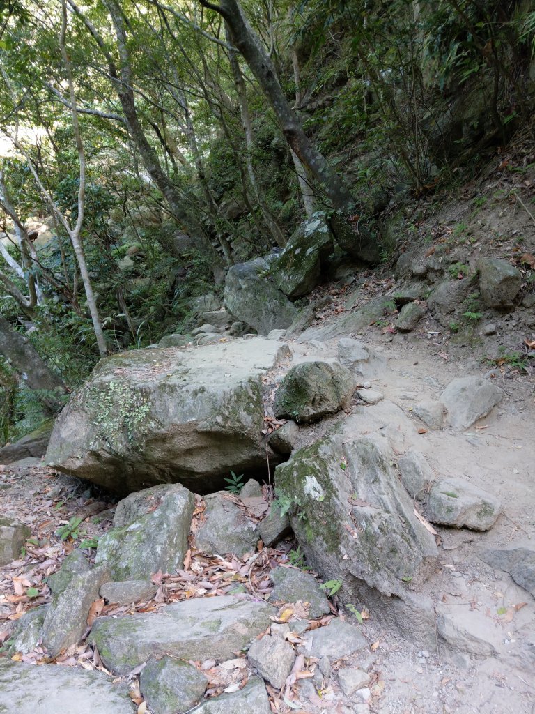 錐麓古道初體驗_741394