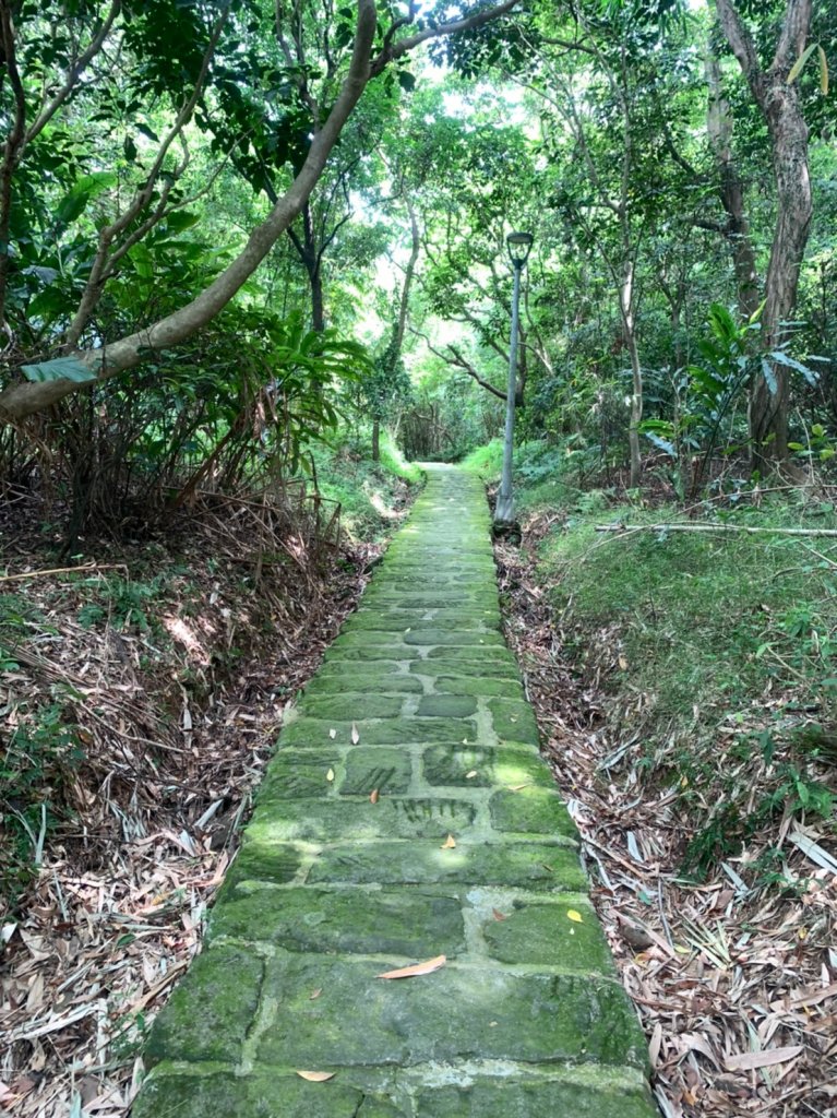 劍潭山、文間山、劍南山縱走_1235754