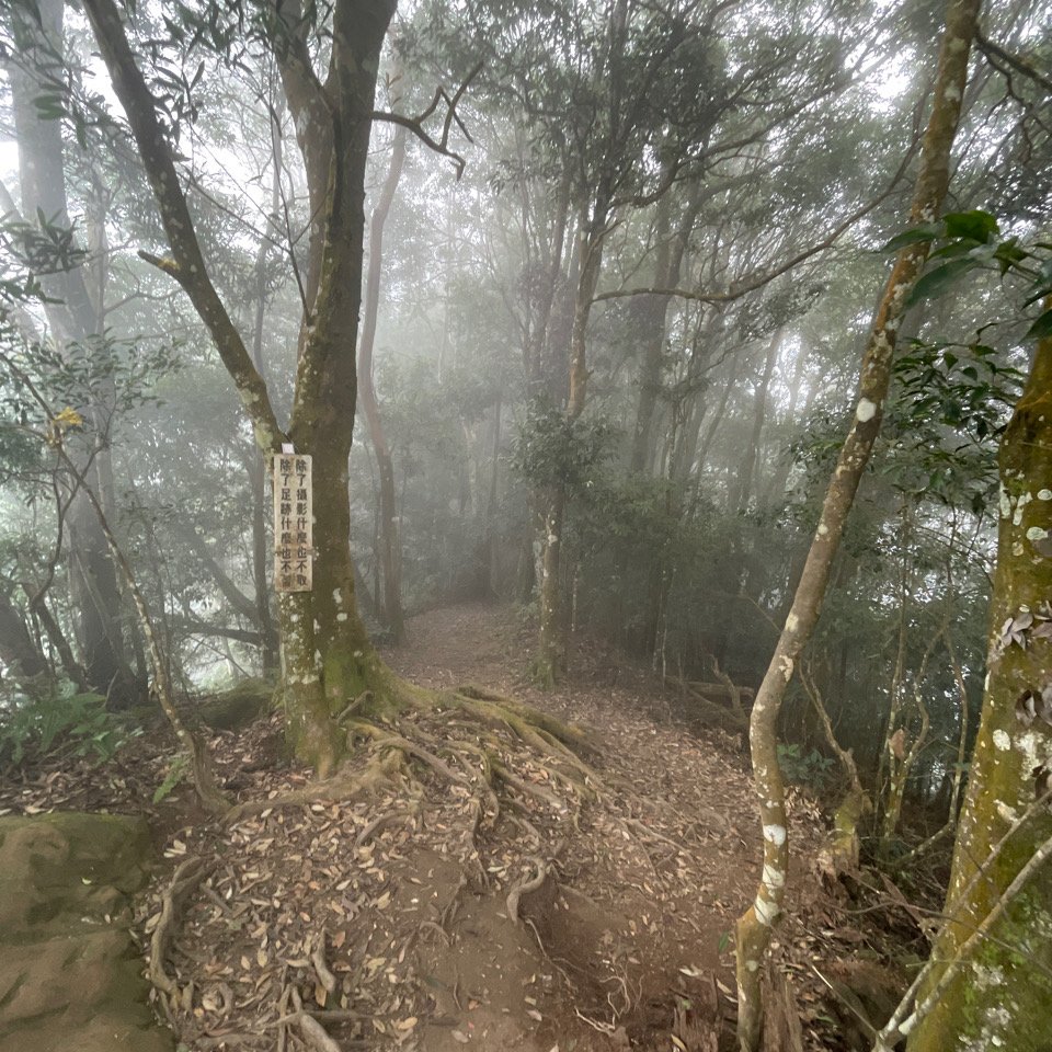 仙山登山步道大O_1954973