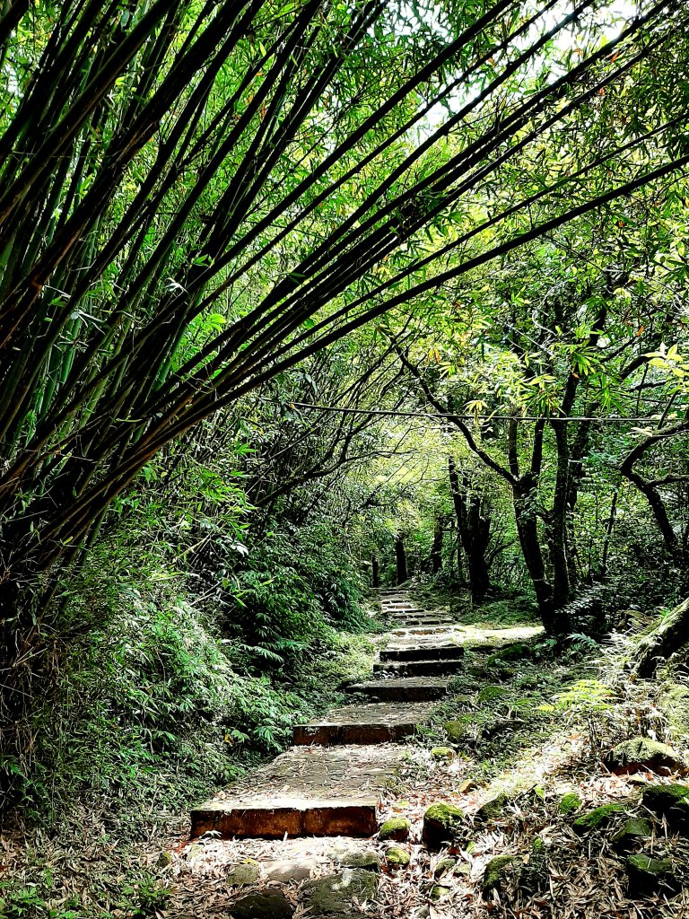 金面山、絹絲瀑布_2532362