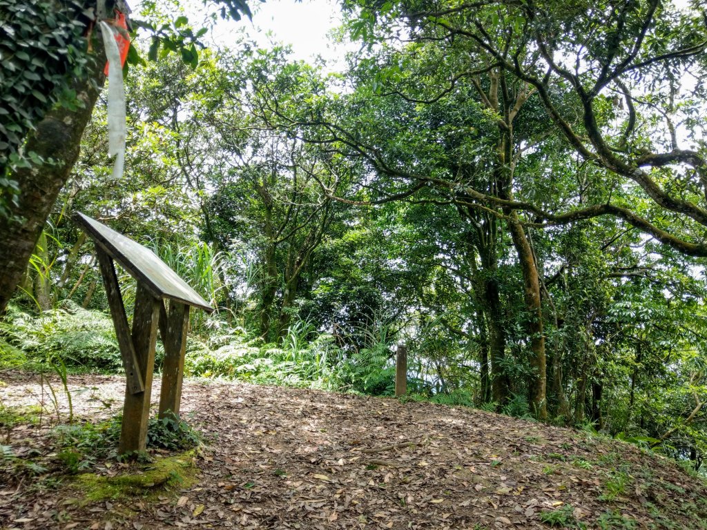 汐止大尖山(小百岳#12)盤石古道起登_993904