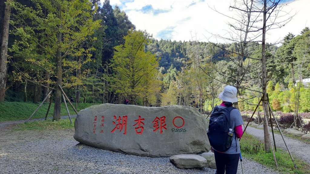 《南投》銀杏湖｜杉林溪青龍瀑布越嶺古道燕庵步道20221015_1880002