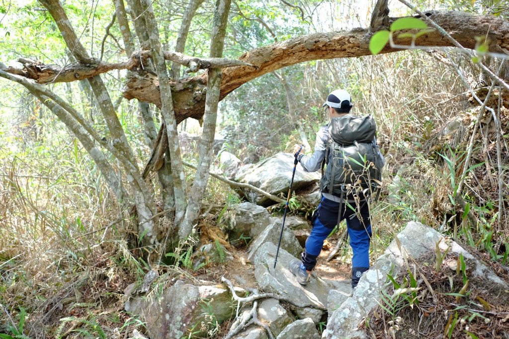 谷關七雄 | 東卯東南稜下松鶴_1320719
