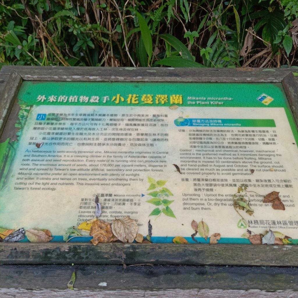 步道巡訪員 l 佐倉步道4月巡訪日誌_905770