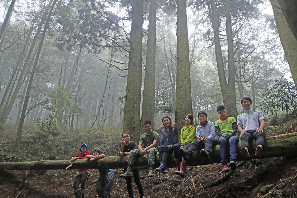 水漾森林拍婚紗_575209