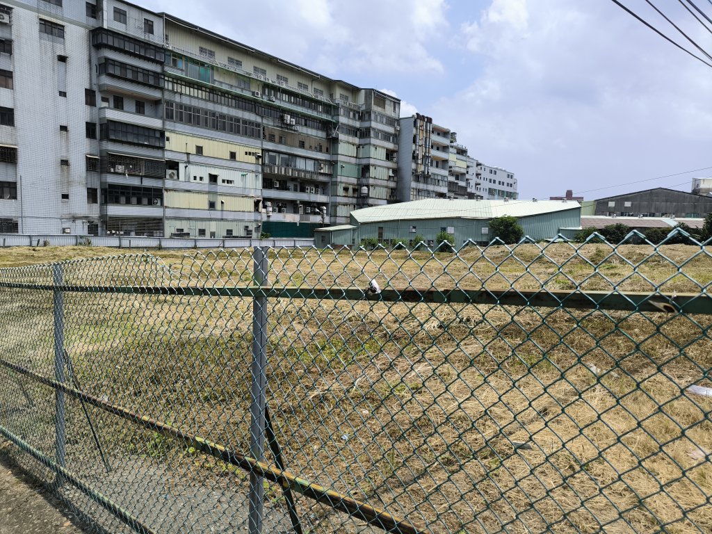20250809樹迴縱走_2855055