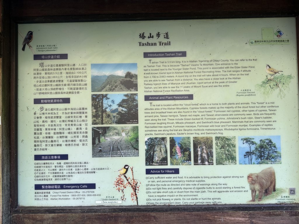 1141215大塔山步道_2996116