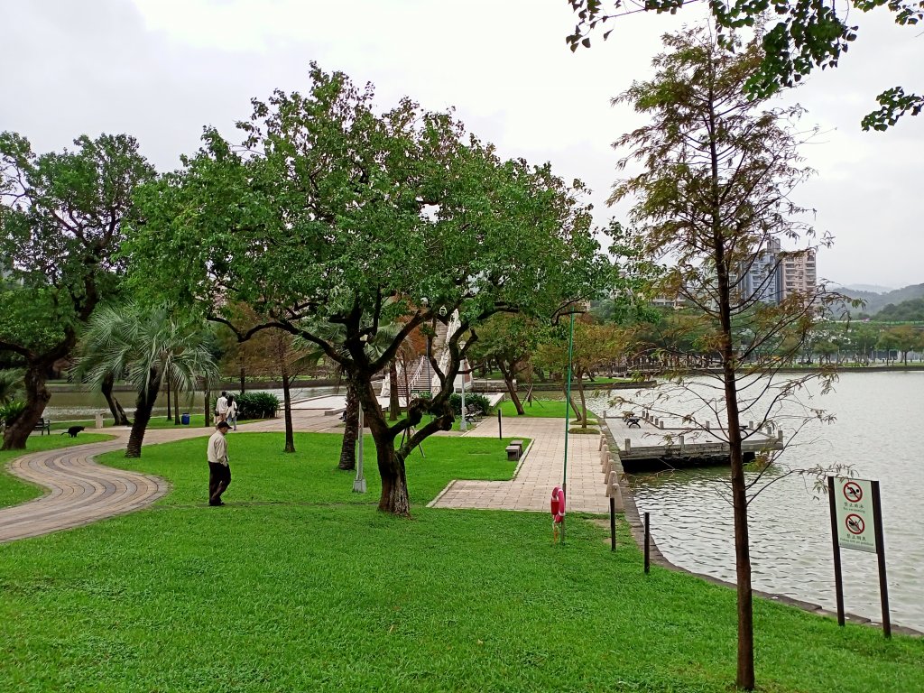 大湖公園 (防災公園)【走路趣尋寶】_1899874