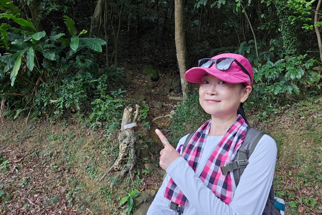 瑞芳四秀加碼大武崙澳底沙灘_2238755