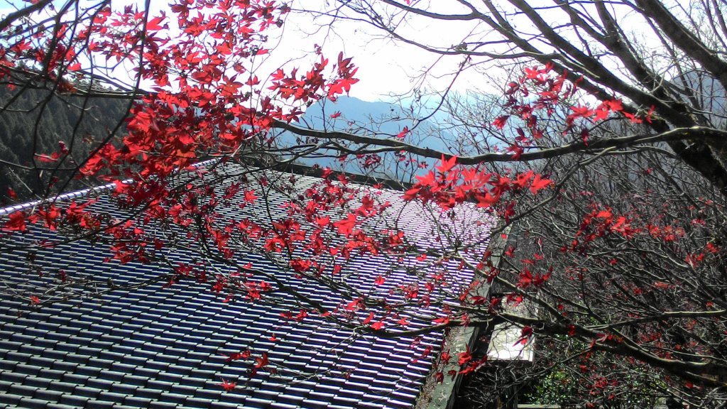 宜蘭太平山_翠峰湖&見晴懷古步道20141025_1961188