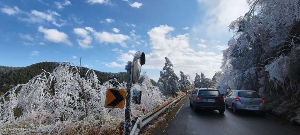 #霧淞 #雲海 #雲瀑 #霧虹 #太平山 #望洋山 #觀雲步道 #翠峰道路  2/8_2995268