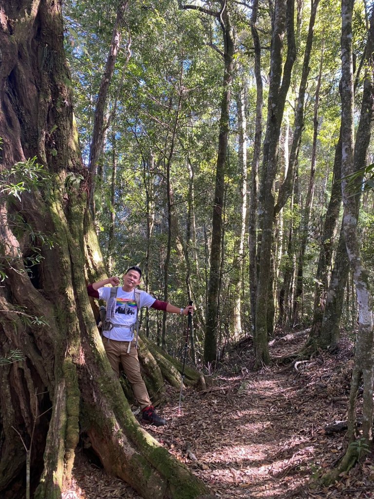 長壽山-醜崠山-鳶嘴山【既優雅又狂野的另類選擇】_2673963