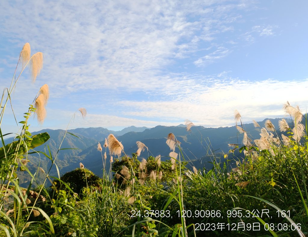 20231209_馬那邦山_2374533