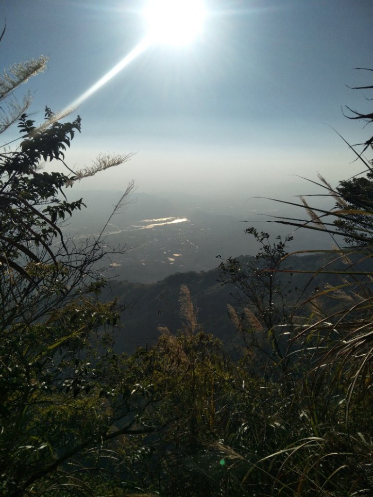 集集大山_2014035