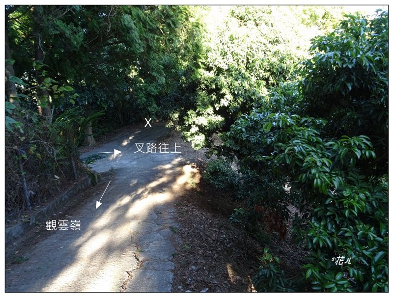 老鼠崎登山步道、觀雲嶺、三汀山_1964003