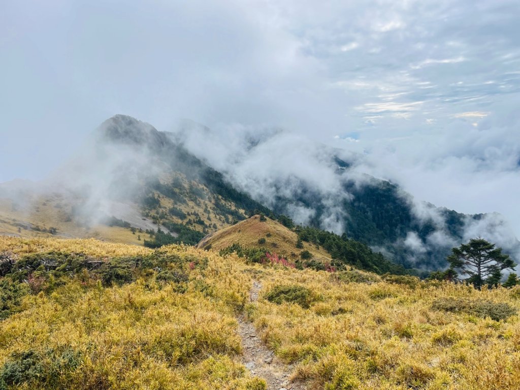 逆走雪劍💙淒風苦雨賞雪❄️+🎂⛰️旅_2967776